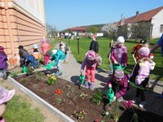 Pečujeme o květinový záhonek